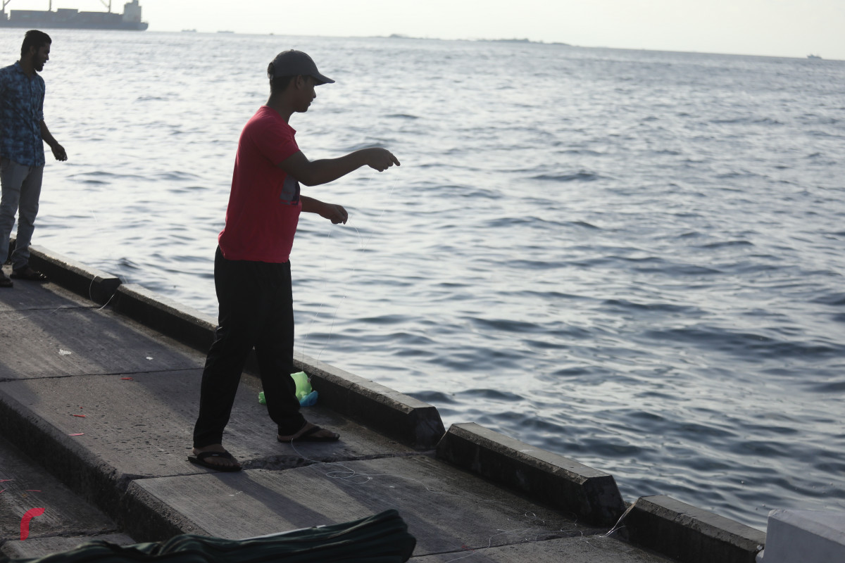 25 މެއި 2019 -- މަސްވެރިންގެ ޕާކުގެ ފާލަން މަތީގައި މީހަކު މަސް ބާނަނީ-- ފޮޓޯ: ޝުއައިބް މުހައްމަދު