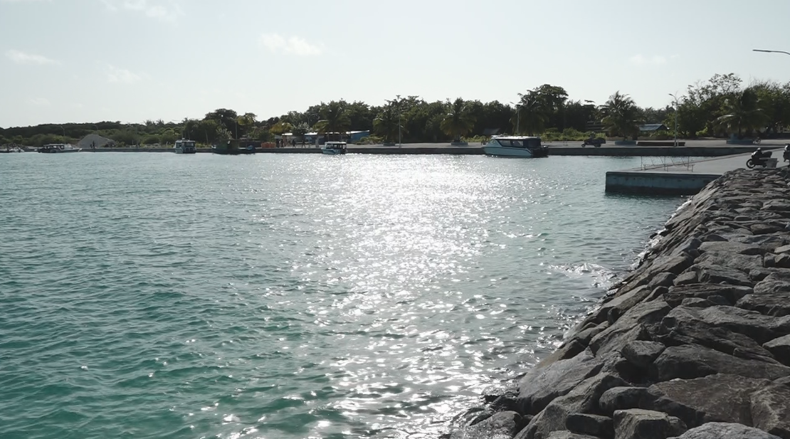 ށ.ބިލެއްފަހި ބަނދަރު