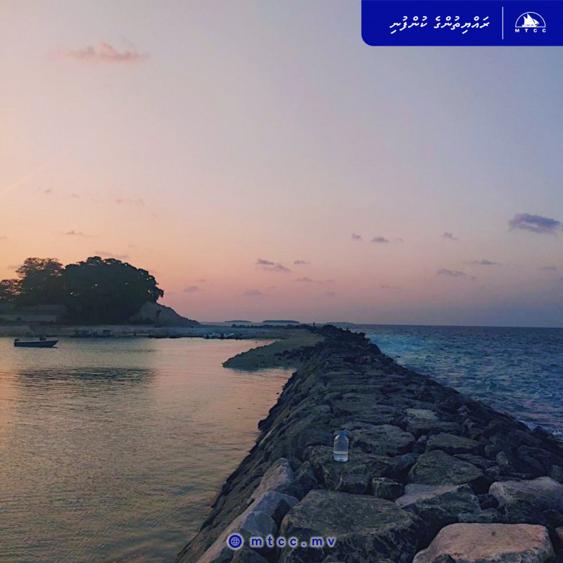 Work on design and build of N. Miladhoo Harbour is well underway, MTCC said