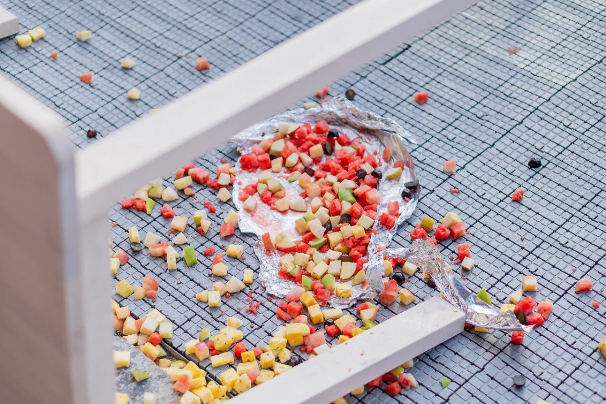 އިންޓަރނޭޝަނަލް ޔޯގާ ޑޭ ރާއްޖޭގައި ފާހަގަކުރުމަށް ބޭއްވި ހަރަކާތުގެ ތެރެއިން ހިންގި ހަމަނުޖެހުން. އެތަނުގައި ހުރި މޭޒުތައް ވެސް އެތަނަށް ވަތް މީހުން ވަނީ އުކާހަދާފައި. މޭޒުމަތީ ހުރި މޭވާތައް ވަނީ ބިންމައްޗަށް އަޅާލާފައި - ފޮޓޯ: ރާއްޖެއެމްވީ 