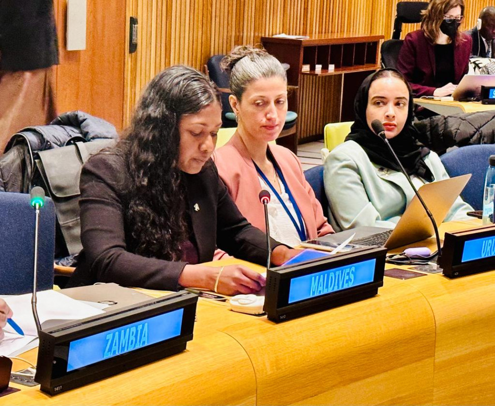 Permanent Representative of Maldives to the United Nations, Ambassador Thilmeeza Hussain
