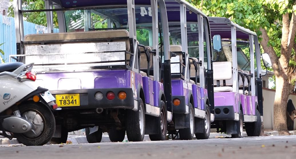 ވިލިމާލޭގައި ބަގީތައް ބަހައްޓާފައި