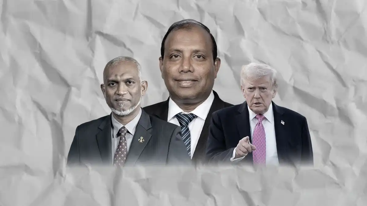 މަގޭ ރިޕޯޓު