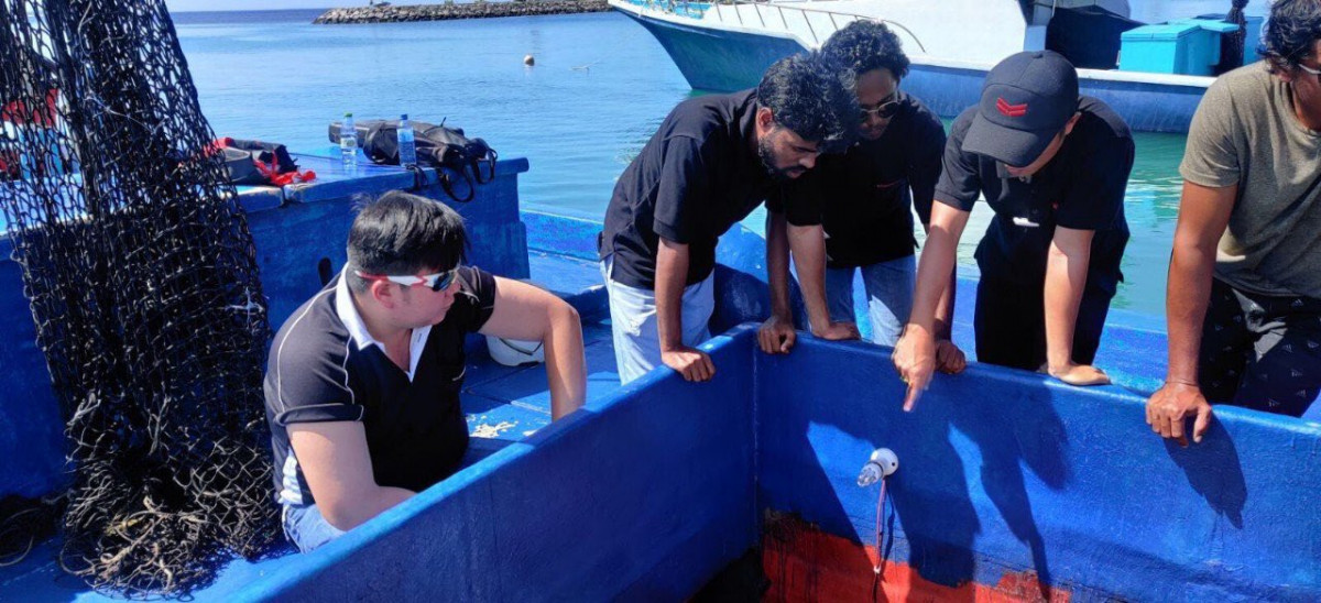 ޔަންމާ ސާރވިސް ކެމްޕެއިން ފެށުން