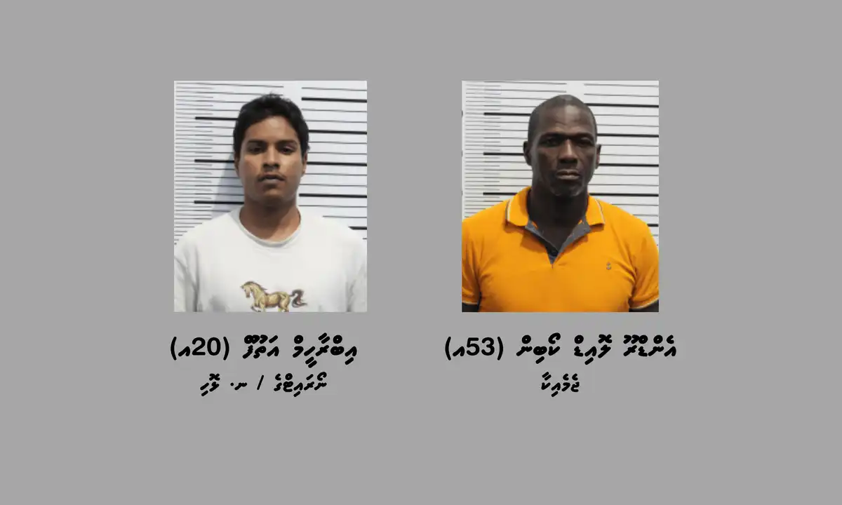 ވައިގެމަގުން ކިލޯއަކަށްވުރެ ގިނަ މަސްތުވާތަކެތި ރާއްޖެ އެތެރެކުރިކަމުގެ ތުހުމަތުގައި ހައްޔަރުކުރި ދެ މީހުން