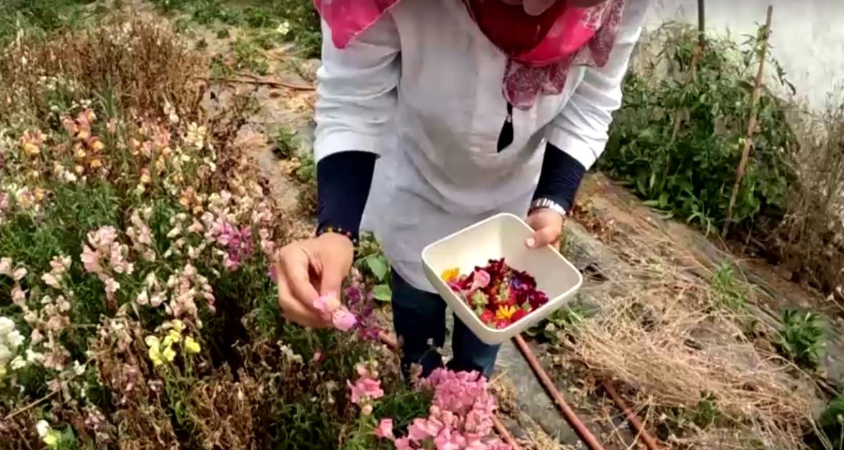 ސޯނިއާ ޢާބިދީގެ ދަނޑުތައް 