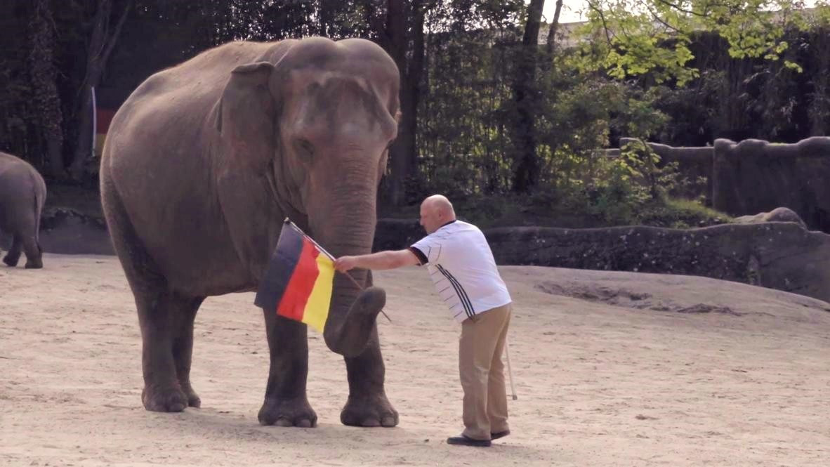 ޔަޝޯދާގެ ނަން ދީފައިވާ އެތް