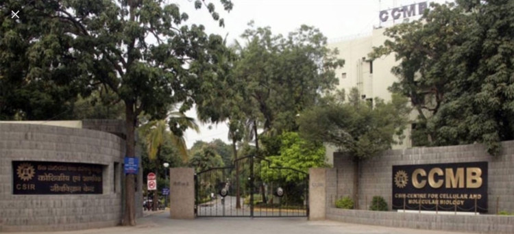 ވިންކޮވް-19 އުފެއްދުމުގެ މަސައްކަތްކުރާ ސީއެސްއައިއާރް-ސެންޓަރ ފޮރ ސެލިއުލަރ އެންޑް މޮލެކިއުލަރް ބަޔޮލޮޖީ