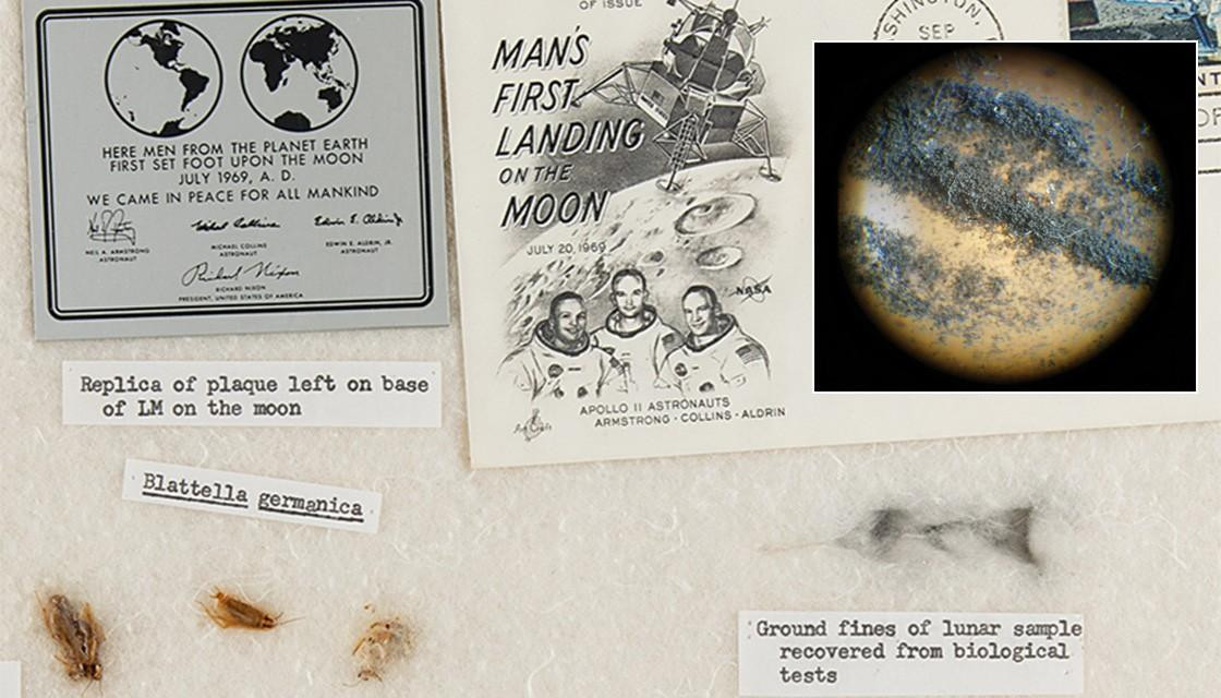 ބައެއް މުހިންމު ތަކެތީގެ ނީލަން ކިއުން