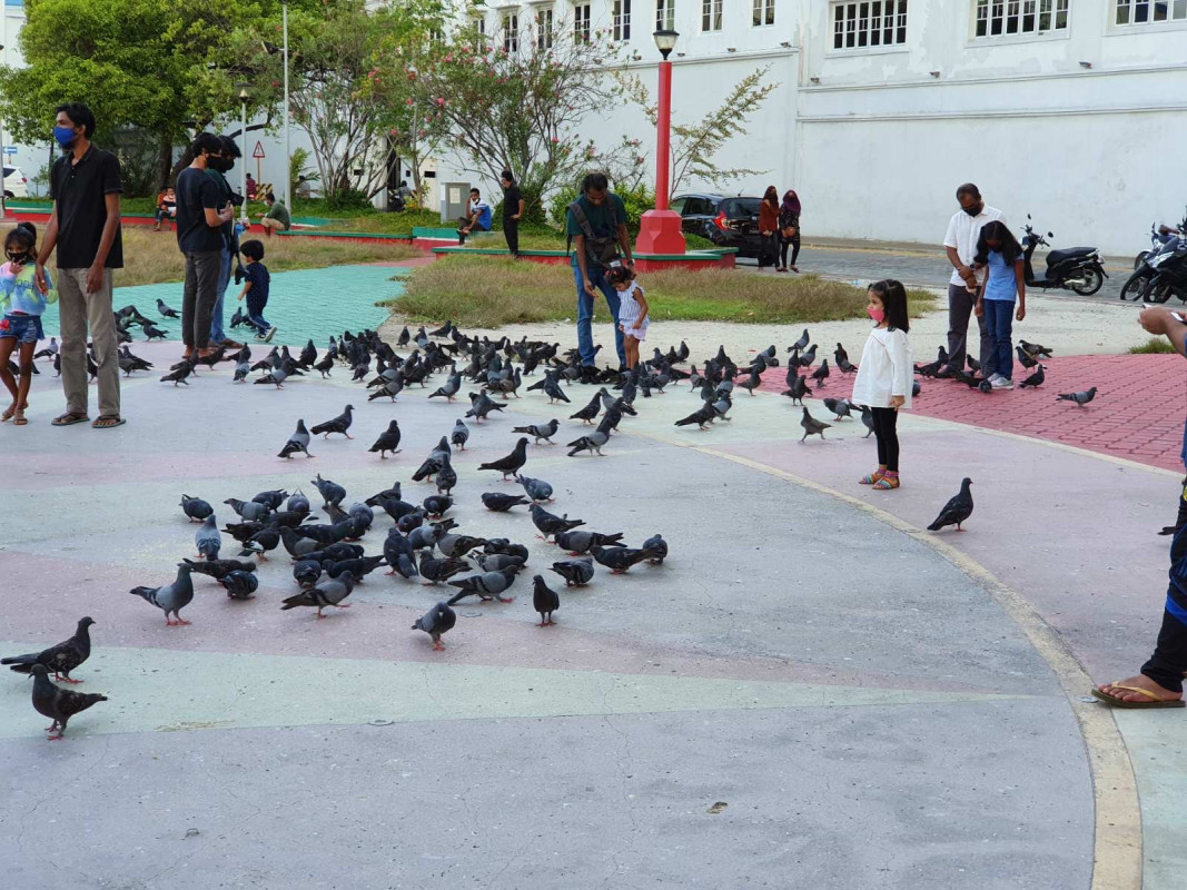 ކުޑަކުދިންތަކެއް ބެލެނެވެރިންނާއި އެކު ޖުމްހޫރީ މައިދާނުގައި - މި ސަރަހައްދަކި ގިނަ އަދަދަކަށް ކޮތަރުތައް އުޅެމުން އަންނަ ސަރަހައްދެއް - ފޮޓޯ: ރާއްޖެއެމްވީ