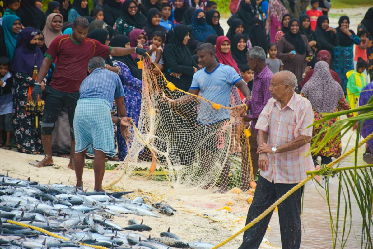 ހއ. ދިއްދޫ ފަޅުތެރެއަށް ރާގޮނޑި އައިނެއް ވަނުން - ފަޅު ތެރެއަށް ވަތް ރާގޮނޑި އައިނު ވަަށައިގެން ދިގު ދަލެއް ޖަހައިގެން މަސް ހިފުމުގެ މަސައްކަތުގައި ރަށުގެ އެކި އުމުރުފުރައިގެ މީހުން ހަރަކާތްތެރިވަނީ - ފޮޓޯ: މަލީހާ ރަޝީދު