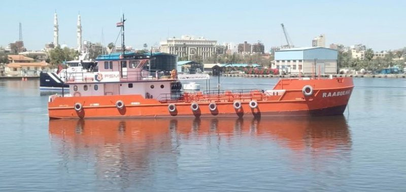 އެފްއެސްއެމްގެ ބާޖެއް