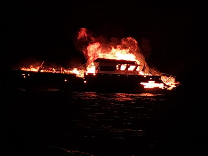 "އަވި" ސަފާރީގައި ރޯވެފައި