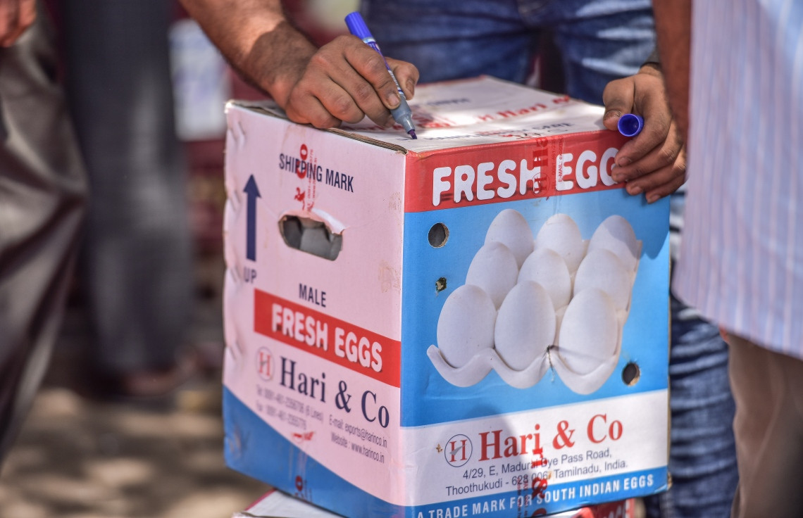 ކުކުޅު ބިސް