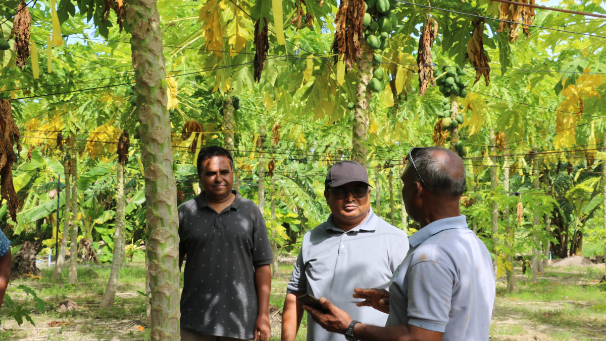 މިނިސްޓަރު ޑރ. ހުސެއިން ކާށިދޫގެ ދަނޑުތައް ބައްލަވައިލެއްވުން