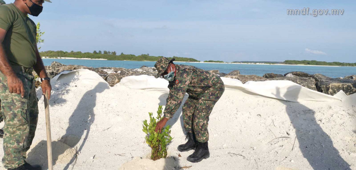 ހޯރަފުށީ އެއަރޕޯޓްގައި ގަސް އިންދުމަށް ރައްޔިތުން ހިންގާ ޕްރޮގްރާމުގައި އެމްއެންޑީއެފުން ބައިވެރިވުން -  ހޯރަފުށީ އެއަރޕޯޓުގައި އެއް ލައްކަ ގަސް އިންދުމުގެ ޕްރޮގްރާމް ފަށާފައިވާއިރު، މި ޕްރޮގްރާމަކީ ހޯރަފުށި ދާއިރާގެ މެންބަރު އަޙްމަދު ސަލީމާއި އެރަށު ކައުންސިލްގެ އިސްނެންގެވުމުގެ މަތިން ކުރިއަށް ގެންދާ ހަރަކާތެއް، މިހަރަކާތަށް ރަށުގެ ރައްޔިތުންގެ ފަރާތުން ބޮޑު އެއްބާރުލުމެއް ލިބޭ - ފޮޓޯ: އެމްއެންޑީއެފް