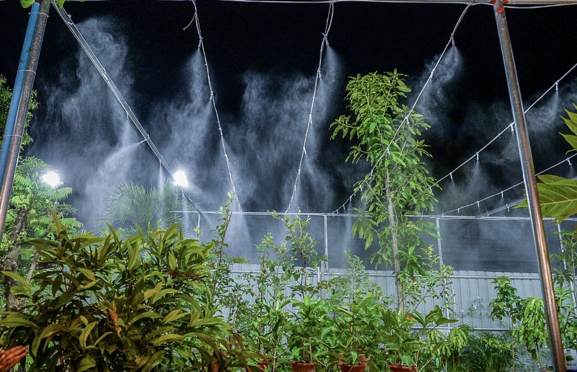 "މާލެ ފެހި" ފިހާރަ