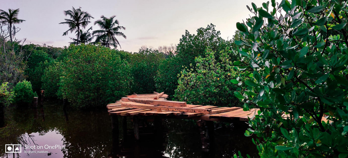 ނ.ލަންދޫ ކުޅި