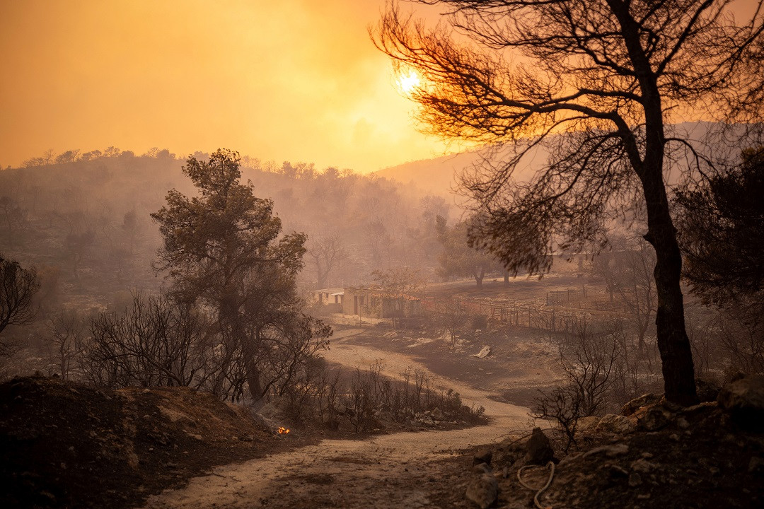 ގްރީސްގެ ޖަންގަލިތަކުގައި ރޯވެ އަނދަނީ - ފޮޓޯ: ރޮއިޓަރސް