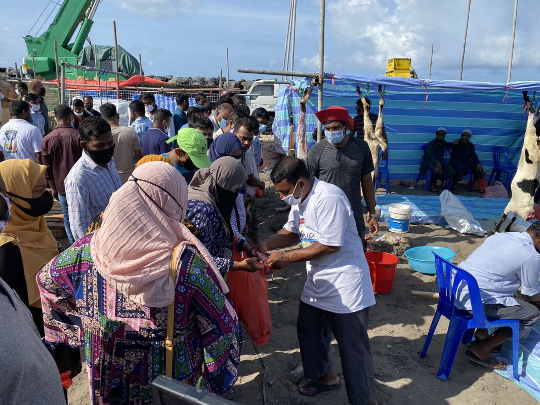 އަޟްޙާ ޢީދު 1442 - އުލްހިޔާ ކަތިލުން، ޢީދު ނަމާދަށް ފަހުގައި އުލްހިޔާ ކަތިލުމުގެ މަސައްކަތް ވަނީ ފަށާފައި - ފޮޓޯ: ރާއްޖެއެމްވީ