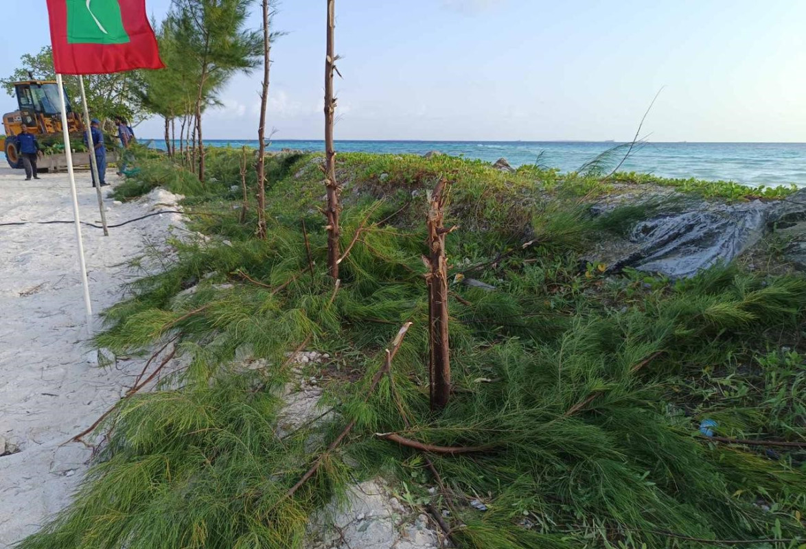 ހޯރަފުށީ އިރުމަތި ފަރާތުގެ ހޭޅި ހަލާކުވެފައި