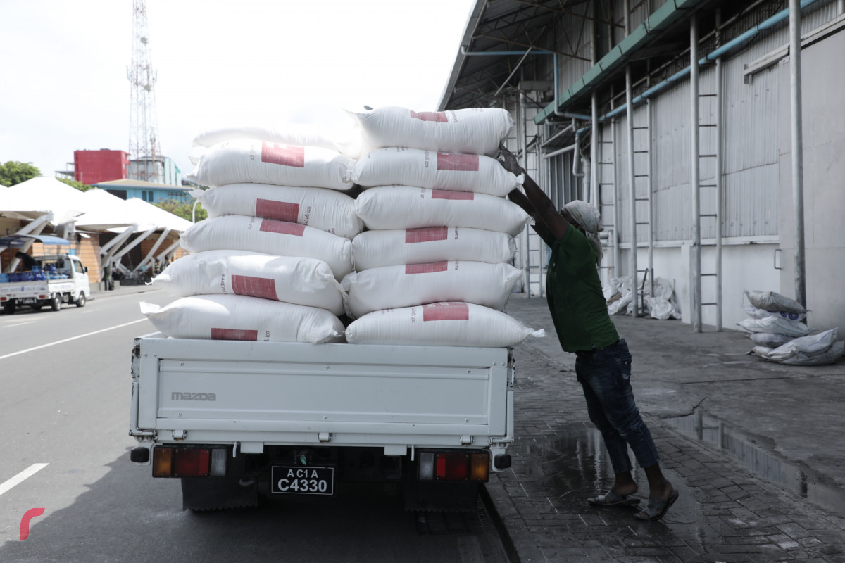 އެސްޓީއޯ ކާޑު ގުދަނުގައި މަސައްކަތްތެރިން ހަރަކާތްތެރިވަނީ - ކޮވިޑް-19 އާ ގުޅިގެން މާލޭ ސަރަޙައްދު ލޮކްޑައުން ކޮށްފައި އޮތް އިރުވެސް އެސްޓީއޯއިން ވަނީ އަތޮޅު ތެރެއަށް ކާޑުގެ ބާވަތްތައް މެދުކެނޑުމެއްނެތި ފޯރުކޮށްދީފަ -- ފޮޓޯ: ރާއްޖެ.އެމްވީ