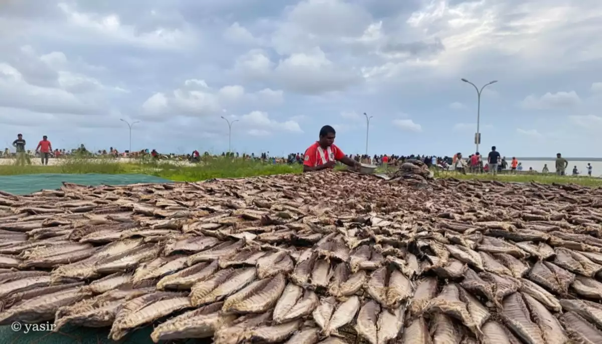 'މަހަ މަންފާ' ނަމުގައި ފައިނޭންސިންގ ސްކީމެއް ތައާރަފްކުުރުން