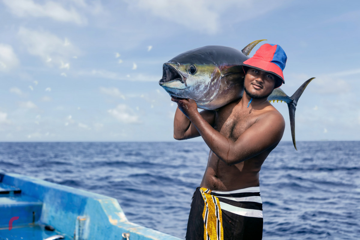 ޒުވާން މަސްވެރިޔާ ސާޖިން