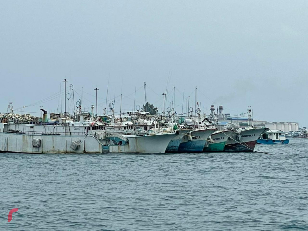 ކަނޑު ދަތުރުފަތުރުގެ އުޅަނދުތައް