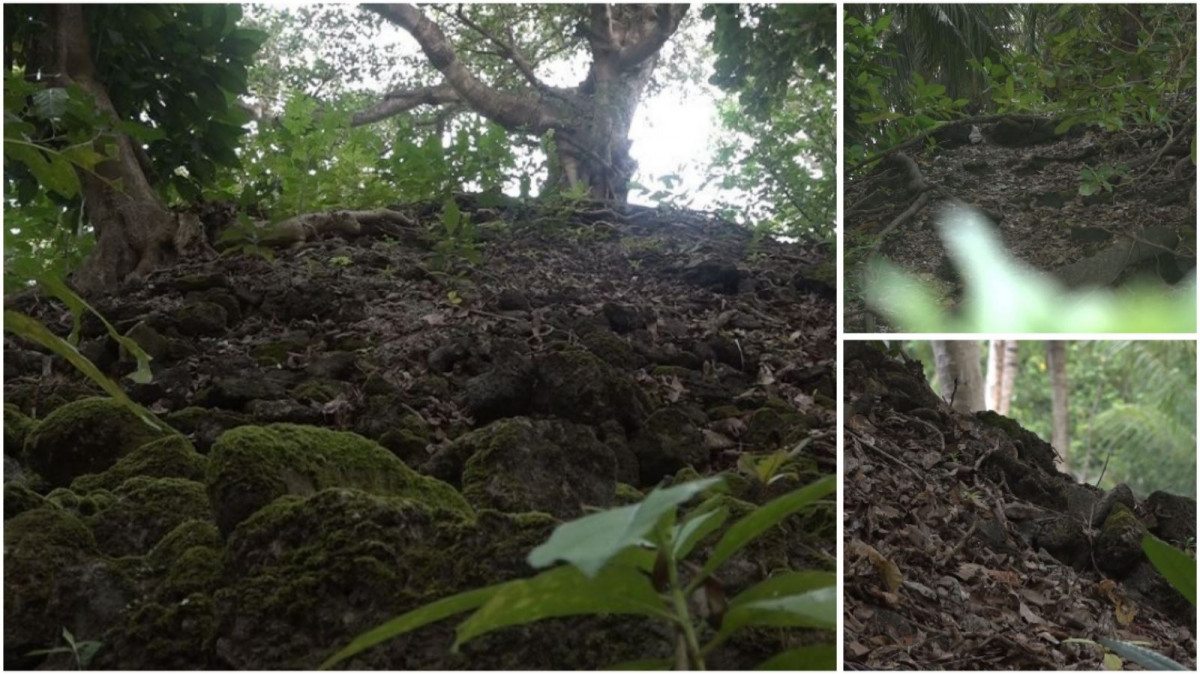 ލަންދޫގެ ފަހުރުވެރި އާސާރު "މާބުދުގެ"