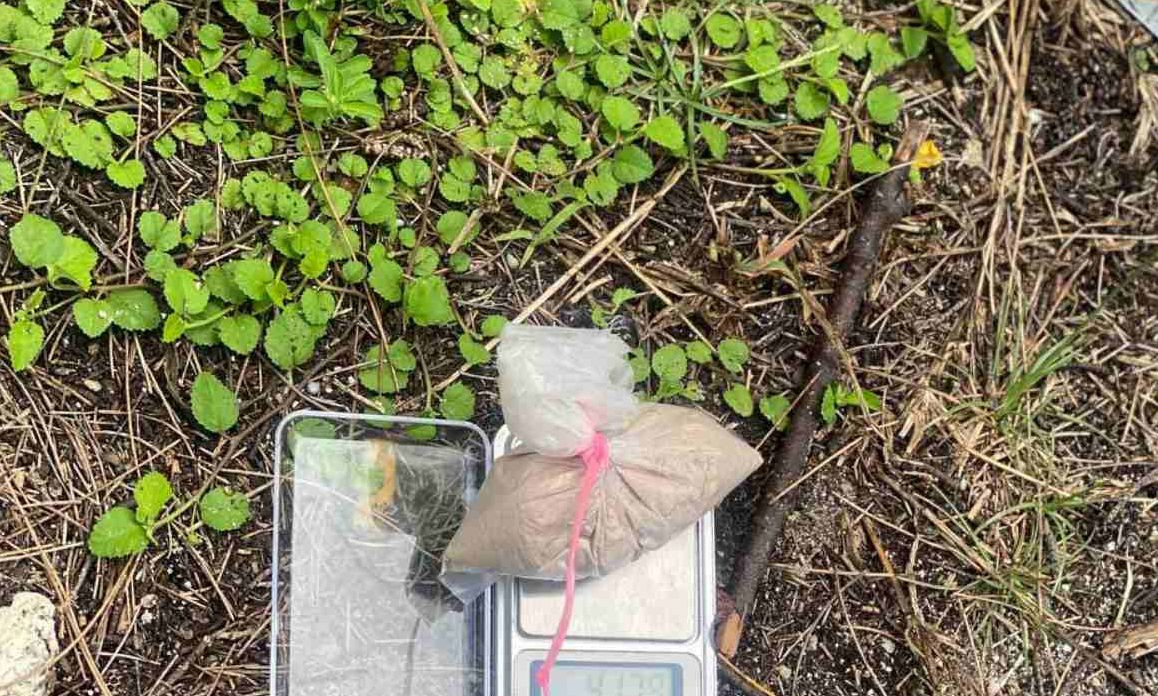 Drugs confiscated by authorities