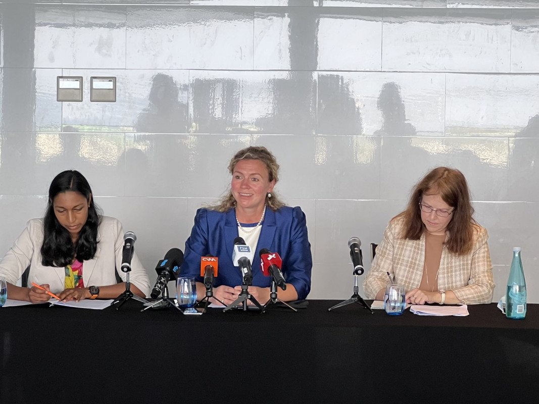 އދ. ގެ ވޯކިން ގްރޫޕް އޮން އާބިޓްރަރީ ޑިޓެންޝަނުން ބޭއްވި ނޫސްވެރިންގެ ބައްދަލުވުން