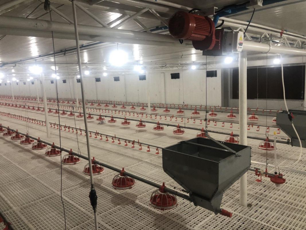 އައްޑޫގައި ހަދާފައިވާ ބީޓެކް ޕޯލްޓްރީ ފާރމް