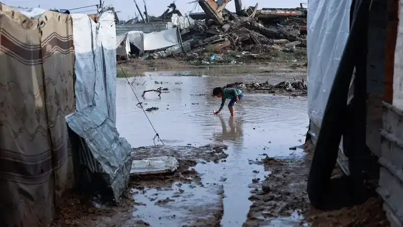 ވިއްސާރައިގެ ސަބަބުން ބޮޑުވެފައިވާ ފެންގަނޑުގެ ތެރޭގައި ތުއްތު އަންހެން ކުއްޖަކު