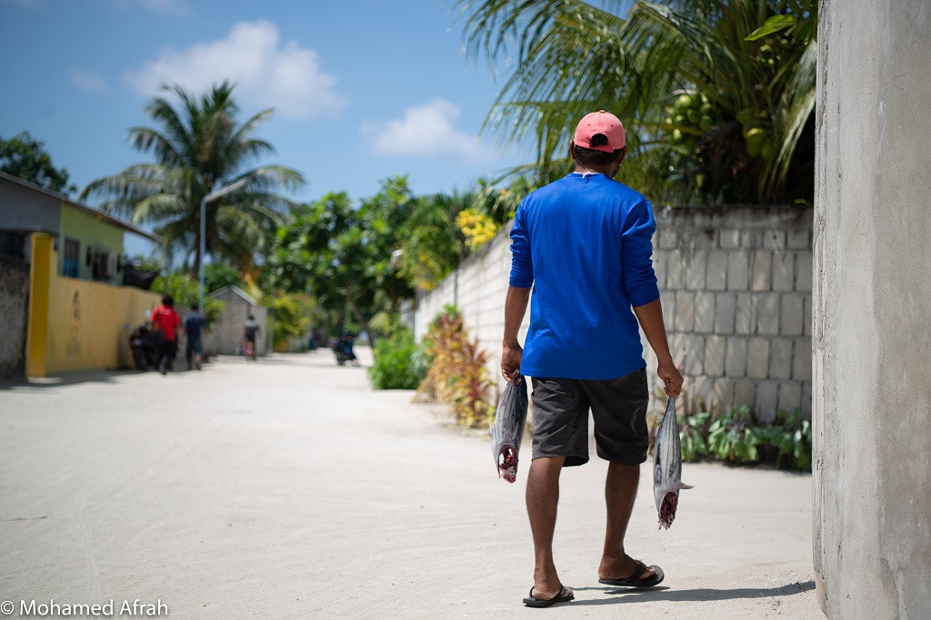މަސްވެރިން ބާނާ މަހަށް ހަމަ އަގު ހޯދުމަށް މަސައްކަތް ކުރަމުން އަންނަ ކަމަށް ސަރުކާރުން ބުނޭ