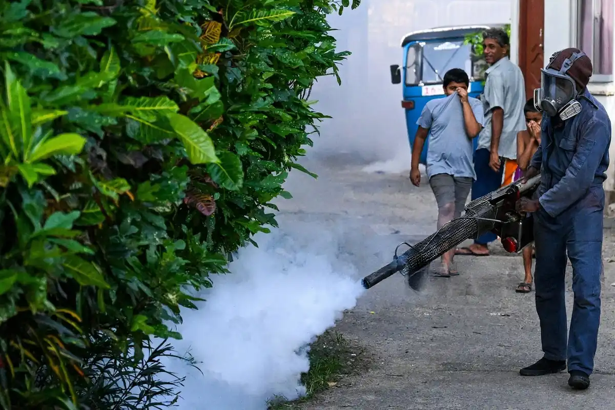 ކޮލަމްބޯގައި ކުރިއަށްދާ ޑެންގޫ ހުން ކޮންޓްރޯލް ކުރުމުގެ ގައުމީ ކެމްޕޭނުގެ ތެރެއިން، 2026 ޖޫން 24 ވަނަ ދުވަހު އެ ސިޓީގެ މުނިސިޕަލްޓީގެ މުވައްޒަފަކު މީހުން ދިރިއުޅޭ ސަރަހައްދަކަށް މަދިރި މަރާ ބޭސް ޖަހަނީ.