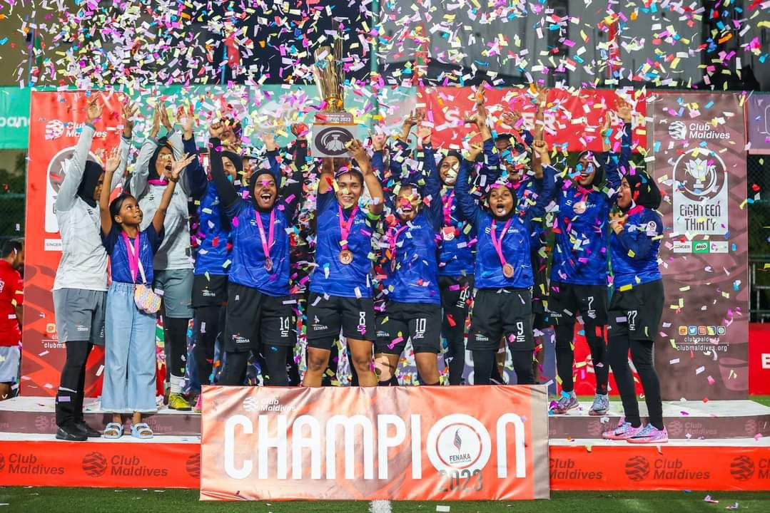 ޓީމް ފެނަކަ، މުބާރާތުގެ ތަށި އުފުލާލުން