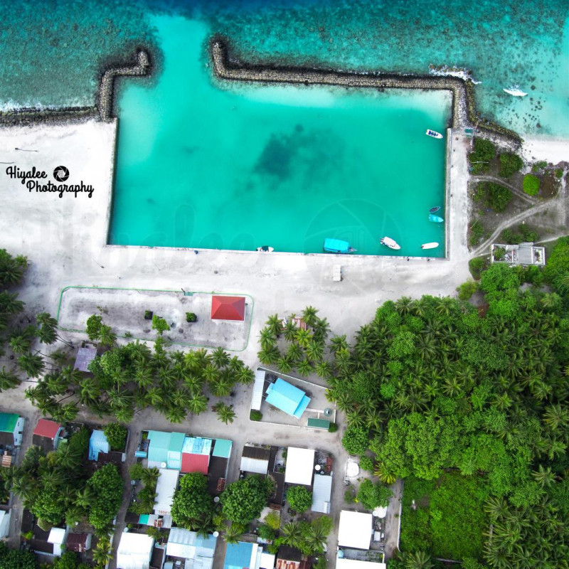 ރ. ކިނޮޅަސް