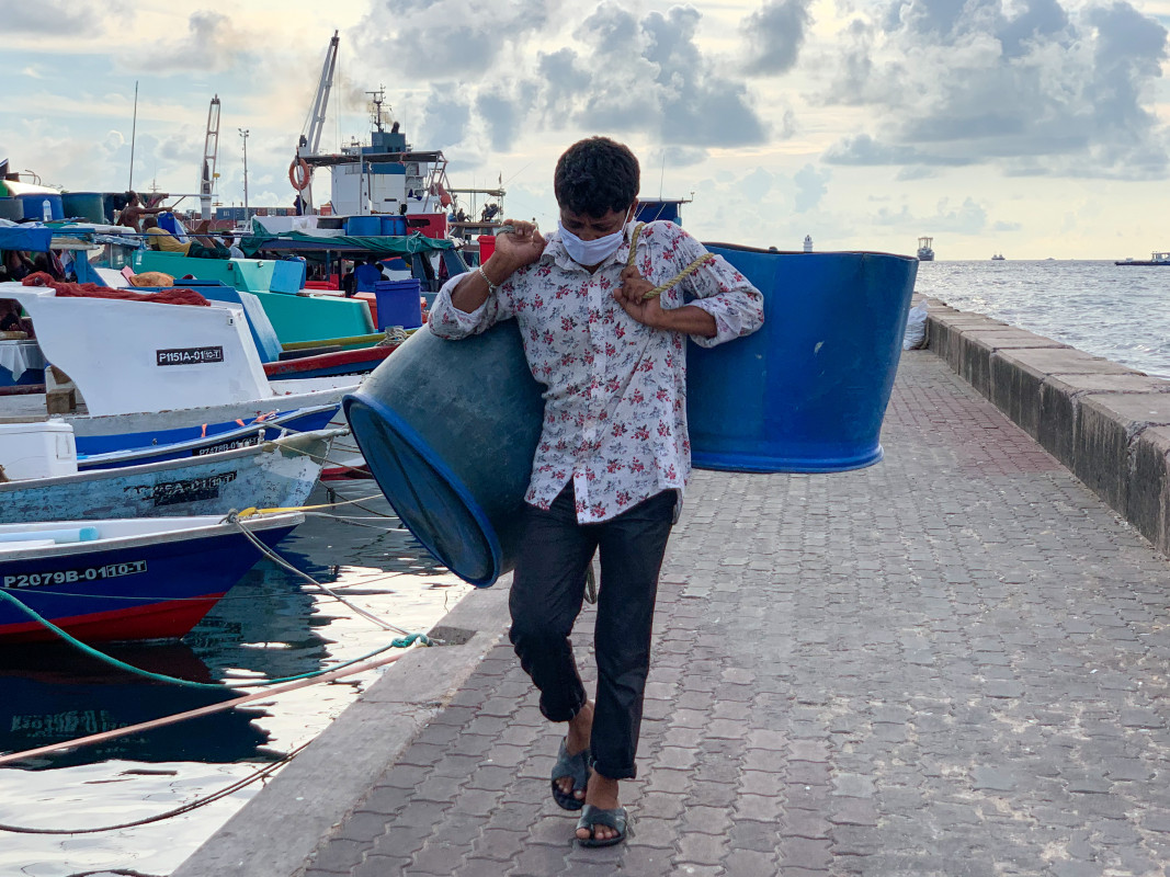 މާރުކޭޓް ސަރަހައްދު ބަނދަރުމަތިން މީހަކު މަސްއަޅާ ދެ ޓައްޕު ހިފައިގެން - މިއީ މަސް އެޅުމަށް ބޭނުންކުރާ އެއްޗެއް -- ފޮޓޯ: ރާއްޖެއެމްވީ