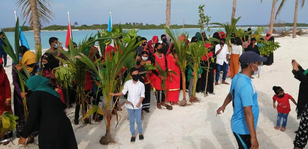 ގަސް އިންދުމުގެ ޕްރޮގްރާމުގެ ތެރެއިން