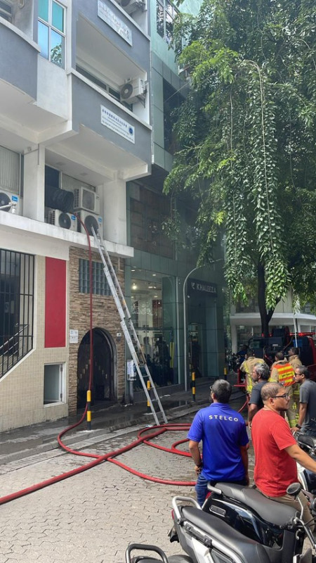 އަލިފާން ނިވާލުމުގައި ސިފައިން ޙަރަކާތްތެރިވުން