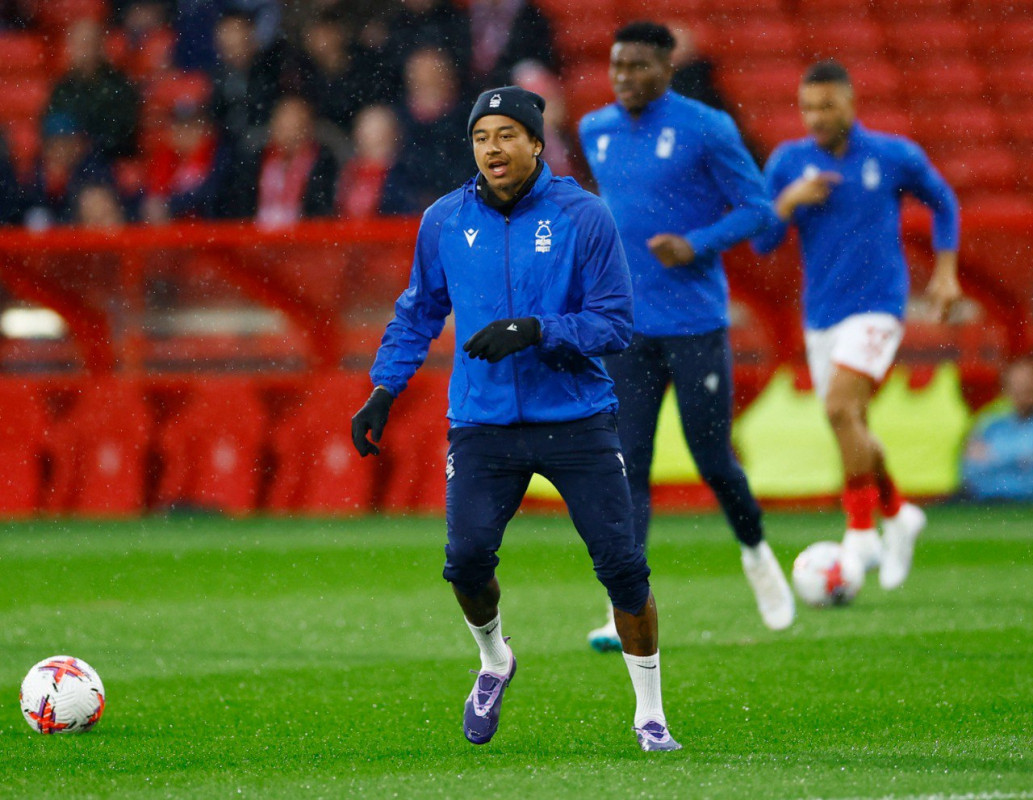 ހެސޭ ލިންގާޑް