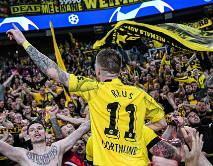 ބޮރޫޝިޔާ ޑޯޓްމުންޑްގެ މާކޯ ރޮއިސް