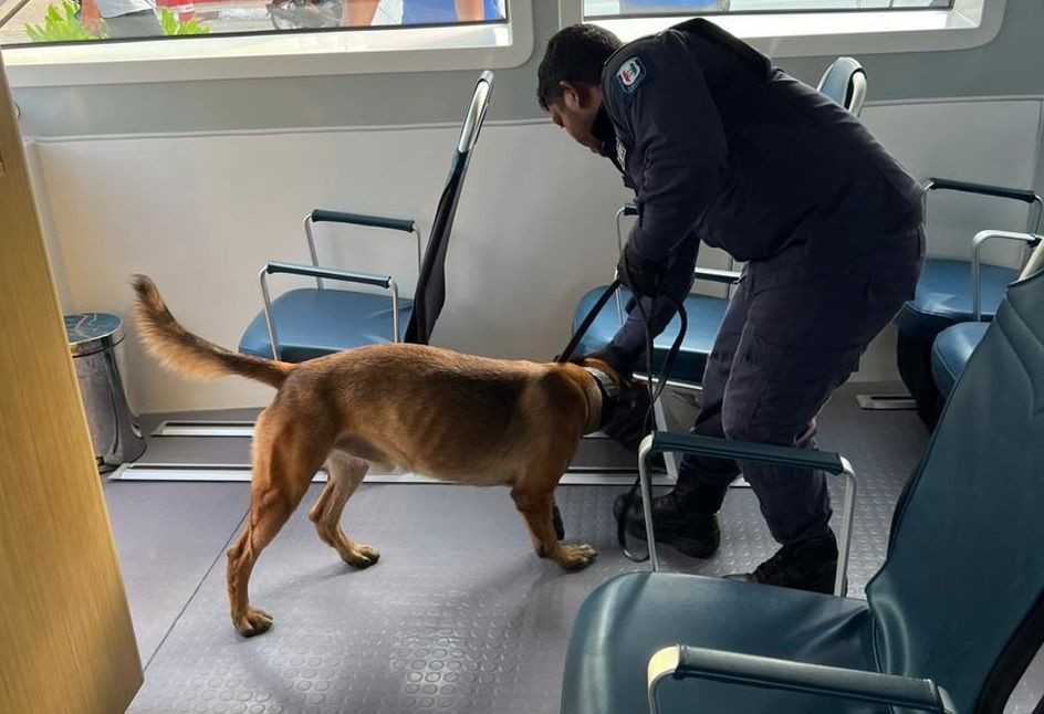 ފުލުހުންގެ ޑޯގް ސްކޮޑް