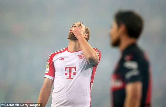 ބަޔާން މިއުނިކްގެ ފޯވަޑް ހެރީ ކޭން