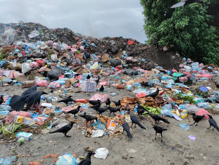 ކުޅުދުއްފުށި ކުނިކޮށި