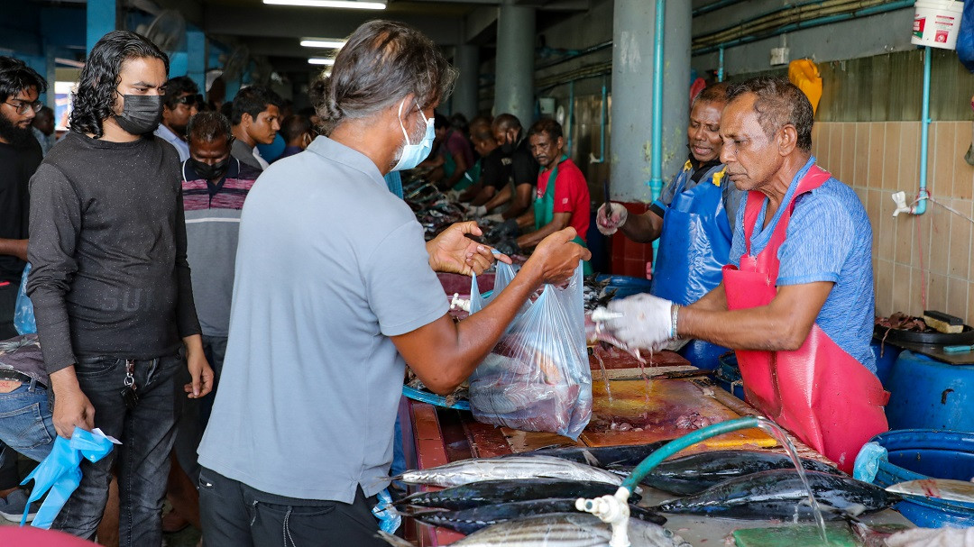 މަސް މާރުކޭޓް - ބަޔަކު މަސް ގަތުމަށް ކިއު ހަދާފައި - ފޮޓޯ: ރާއްޖެއެމްވީ