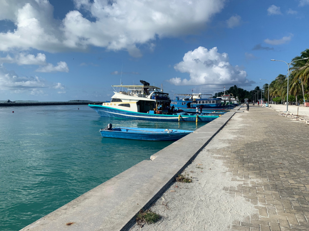 ލ. މާވަށް ބަނދަރު