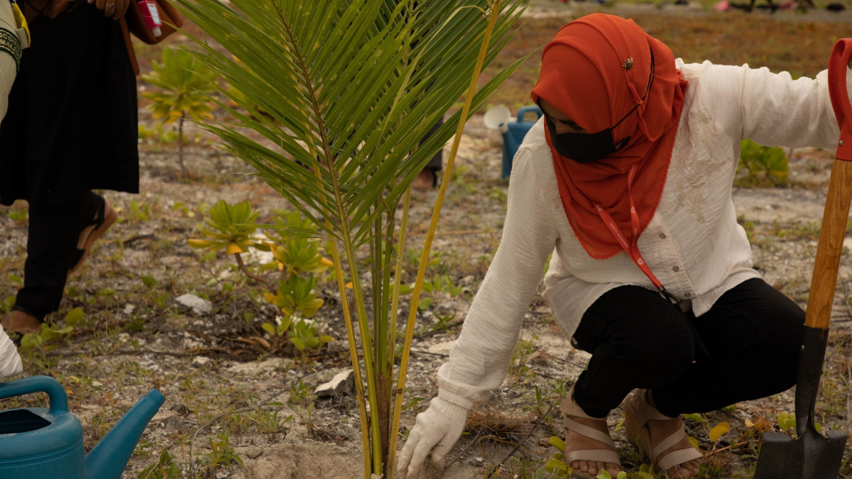 އިމާދުއްދީން ސްކޫލުގެ އަހަރީ ދުވަސް ފާހަގަ ކުރުމުގެ ގޮތުން ހުޅުމާލޭ ފޭސް 2 ގައި ގަސް އިންދުމުގެ ޕްރޮގްރާމެއް ކުރިޔަށް ގެންދިޔުން - ފޮޓޯ: އަތޫފް އާތިފް / ރާއްޖޭޓީވީ