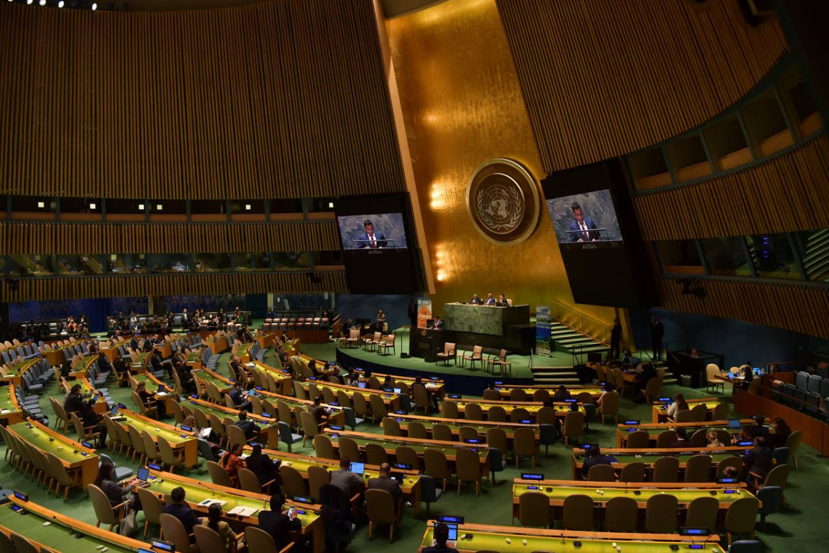 Vice President Faisal Naseem